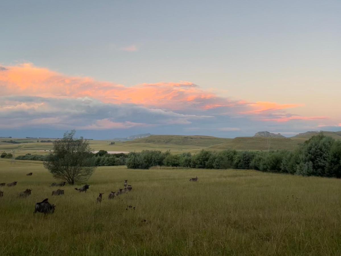 Buffalo Hills Private Game Reserve Harrismith Exterior foto