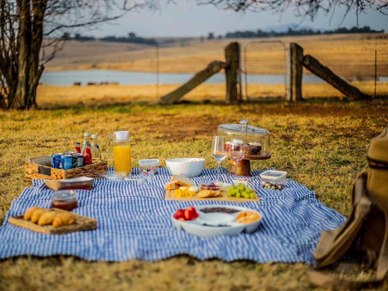 Buffalo Hills Private Game Reserve Harrismith Quarto foto