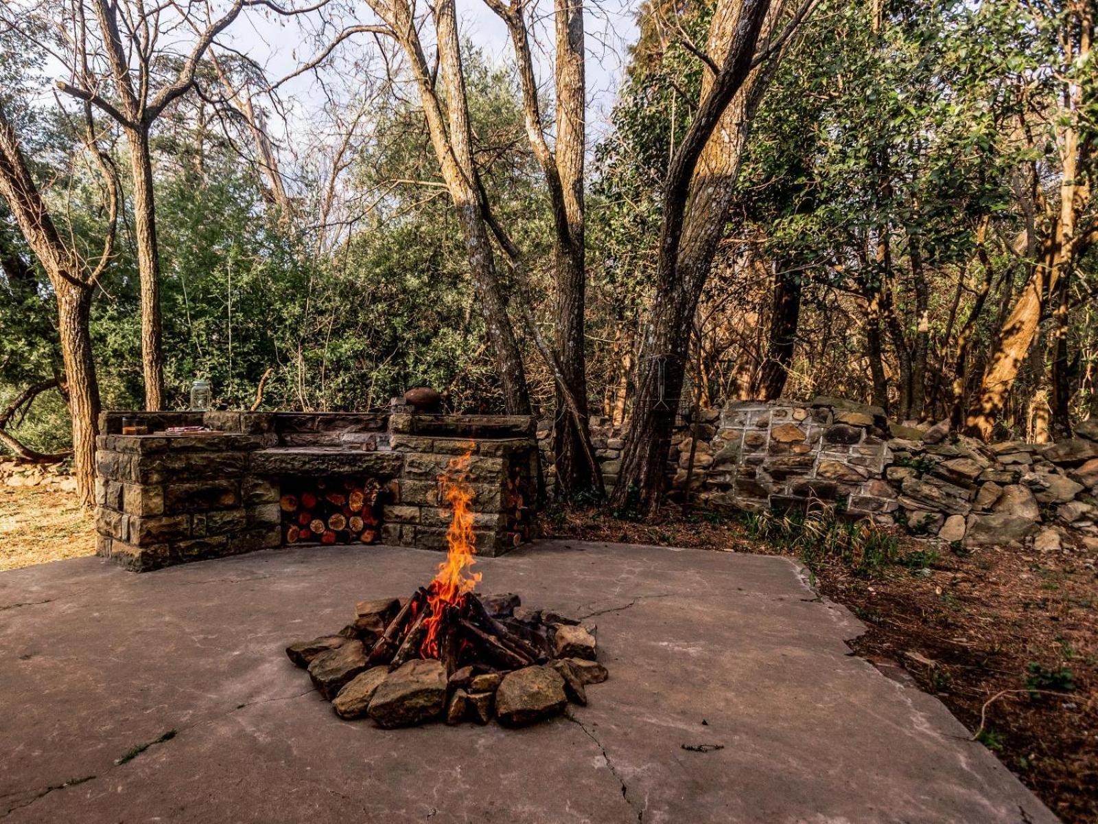 Buffalo Hills Private Game Reserve Harrismith Quarto foto