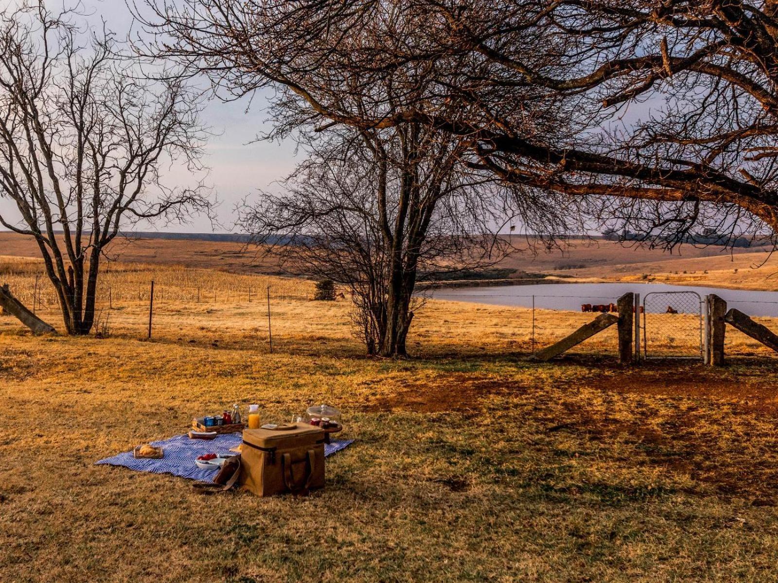 Buffalo Hills Private Game Reserve Harrismith Quarto foto